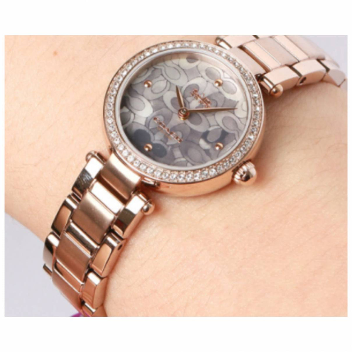 Coach Park Crystal Dial Rose Gold Steel Strap Watch for Women - 14503226