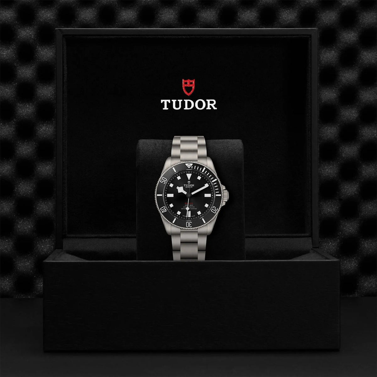 Tudor Pelagos Black Dial Grey Steel Strap Watch for Men - M25407N-0001