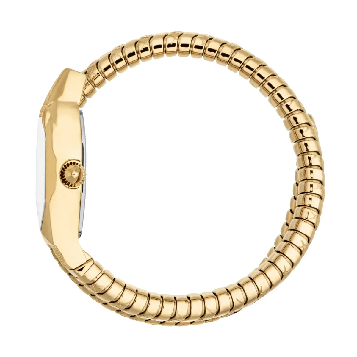 Just Cavalli Aurela Green Dial Gold Steel Strap Watch for Women - JC1L374M0035