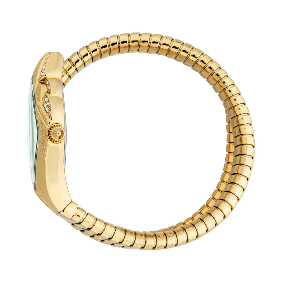 Just Cavalli Ambra Green Dial Gold Steel Strap Watch for Women - JC1L370M0035