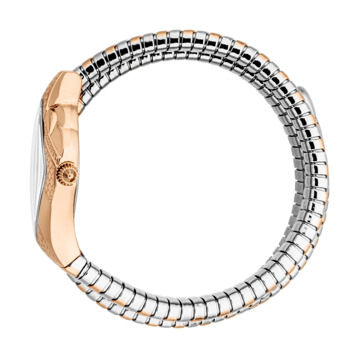 Just Cavalli Cristallo Silver Dial Two Tone Steel Strap Watch for Women - JC1L307M0065