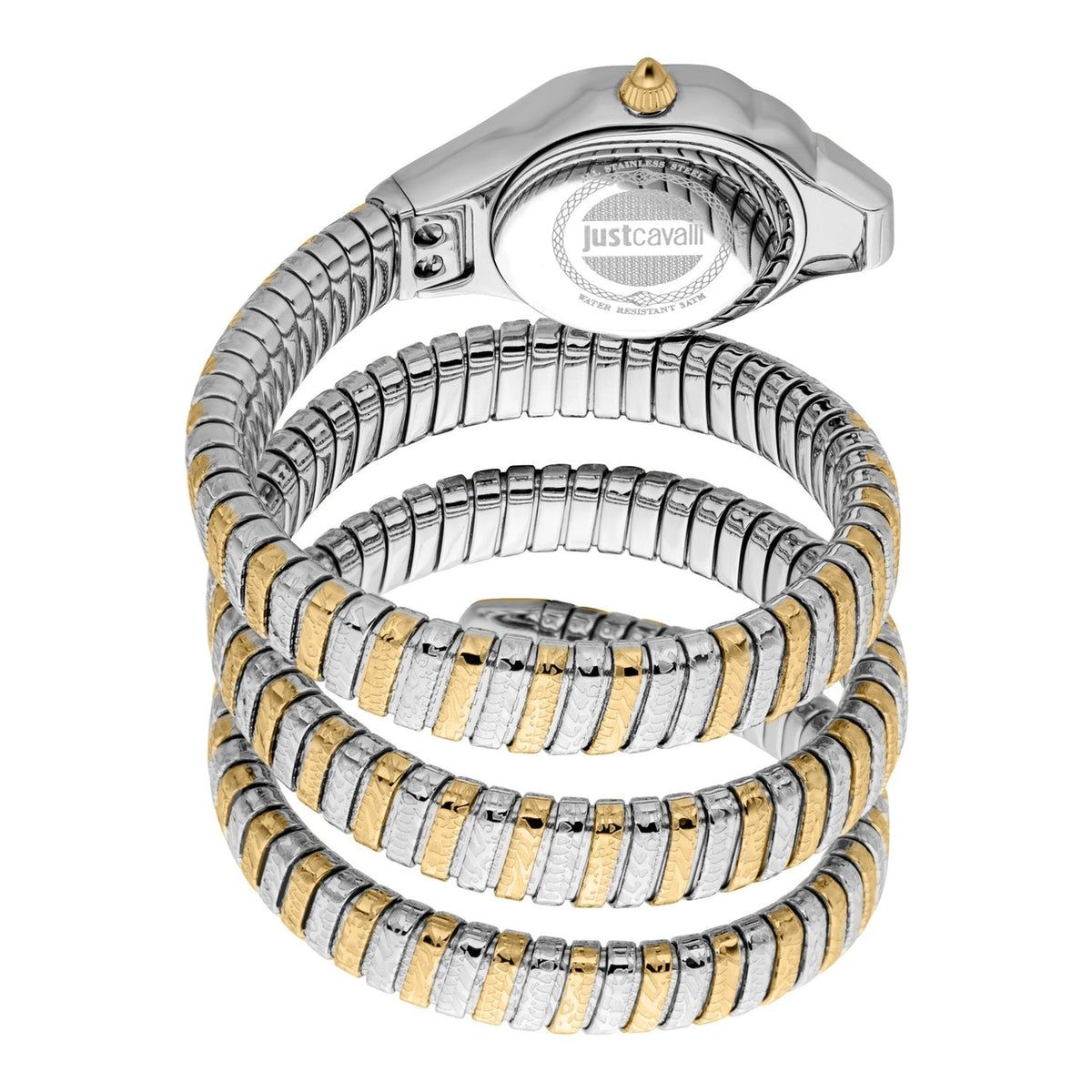 Just Cavalli Ravenna Silver Dial Two Tone Steel Strap Watch for Women - JC1L271M0055