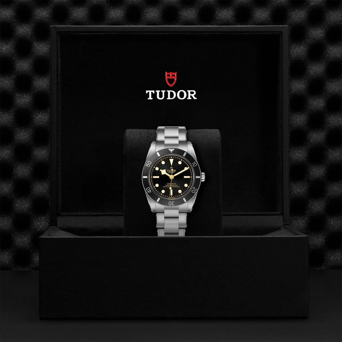 Tudor Black Bay 54 Black Dial Silver Steel Strap Watch for Men - M79000N-0001