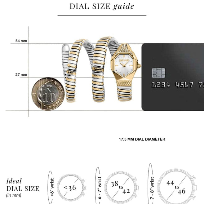 Just Cavalli Ambra Silver Dial Two Tone Steel Strap Watch for Women - JC1L370M0055