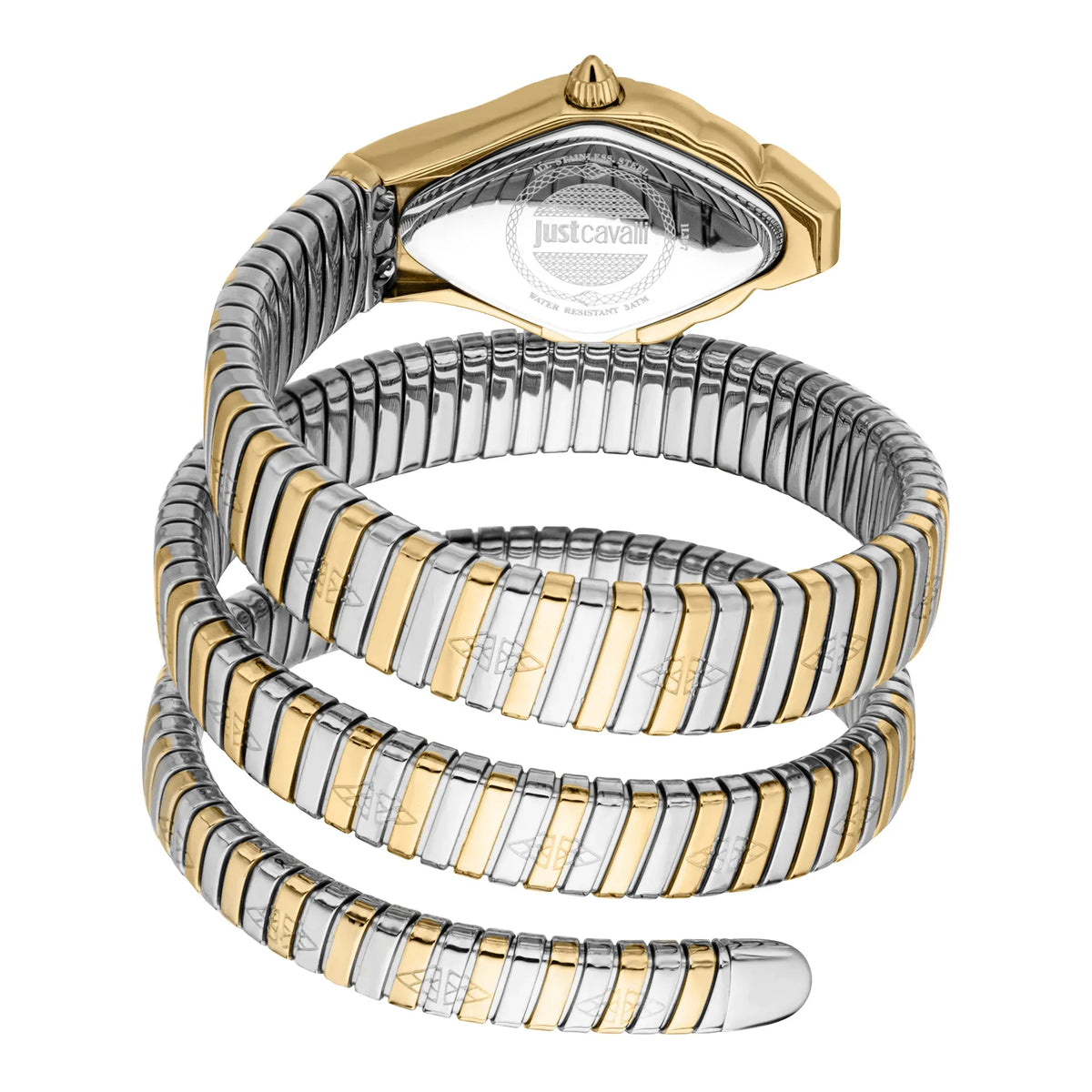 Just Cavalli Aurela Silver Dial Two Tone Steel Strap Watch for Women - JC1L374M0055