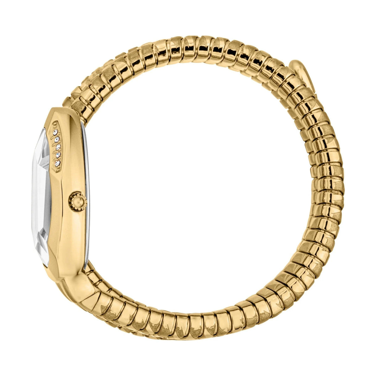 Just Cavalli Cosenza Silver Dial Gold Steel Strap Watch for Women - JC1L232M0025